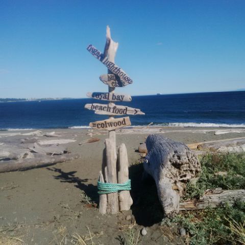 A picture of the Pacific Ocean looking south from Esquimalt Lagoon, the site of a migratory bird sanctuary. The photo contains a sign made from driftwood with directions pointing to Fisgard Lighthouse, Royal Bay, and Colwood.